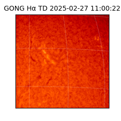 gong - 2025-02-27T11:00:22
