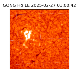 gong - 2025-02-27T01:00:42