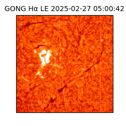 gong - 2025-02-27T05:00:42