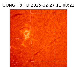 gong - 2025-02-27T11:00:22