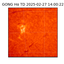 gong - 2025-02-27T14:00:22