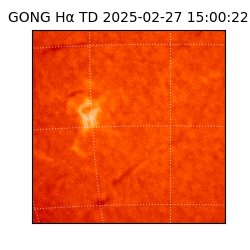 gong - 2025-02-27T15:00:22