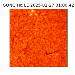 gong - 2025-02-27T01:00:42