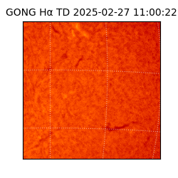 gong - 2025-02-27T11:00:22