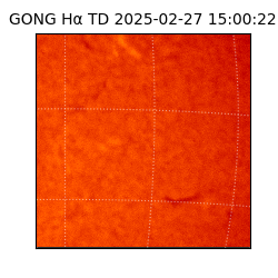 gong - 2025-02-27T15:00:22