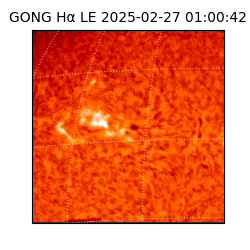 gong - 2025-02-27T01:00:42