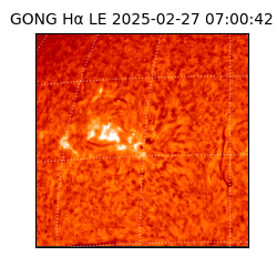 gong - 2025-02-27T07:00:42