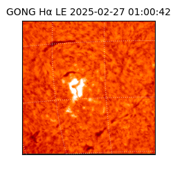 gong - 2025-02-27T01:00:42