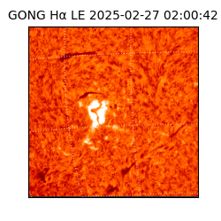 gong - 2025-02-27T02:00:42