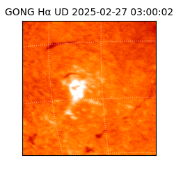 gong - 2025-02-27T03:00:02