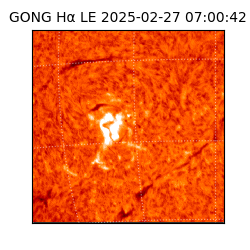 gong - 2025-02-27T07:00:42