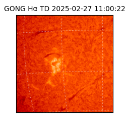 gong - 2025-02-27T11:00:22