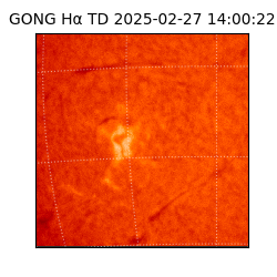 gong - 2025-02-27T14:00:22