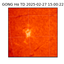 gong - 2025-02-27T15:00:22