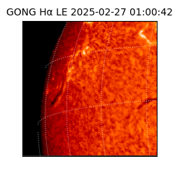 gong - 2025-02-27T01:00:42