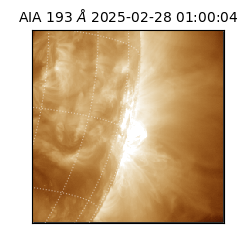 saia - 2025-02-28T01:00:04.843000