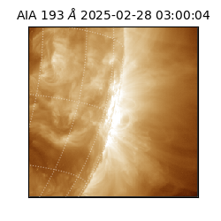 saia - 2025-02-28T03:00:04.843000