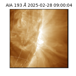 saia - 2025-02-28T09:00:04.843000