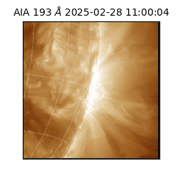 saia - 2025-02-28T11:00:04.843000