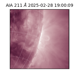 saia - 2025-02-28T19:00:09.626000