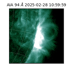 saia - 2025-02-28T10:59:59.124000