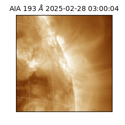 saia - 2025-02-28T03:00:04.843000