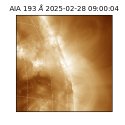 saia - 2025-02-28T09:00:04.843000