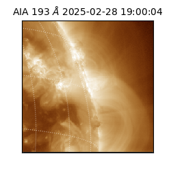 saia - 2025-02-28T19:00:04.843000