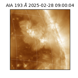 saia - 2025-02-28T09:00:04.843000