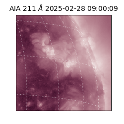 saia - 2025-02-28T09:00:09.630000