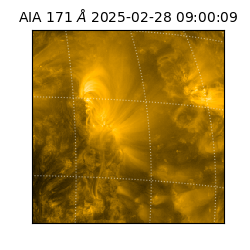 saia - 2025-02-28T09:00:09.350000