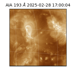 saia - 2025-02-28T17:00:04.843000