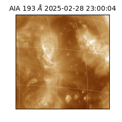 saia - 2025-02-28T23:00:04.843000