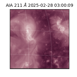 saia - 2025-02-28T03:00:09.626000