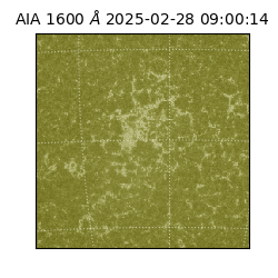 saia - 2025-02-28T09:00:14.125000