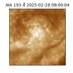 saia - 2025-02-28T08:00:04.843000