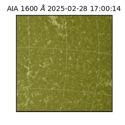 saia - 2025-02-28T17:00:14.125000