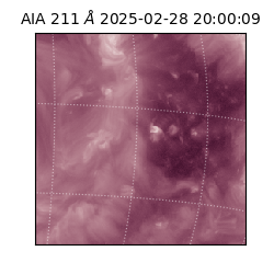 saia - 2025-02-28T20:00:09.630000