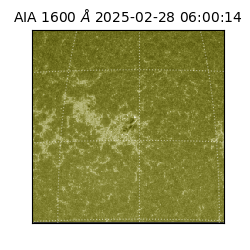 saia - 2025-02-28T06:00:14.125000