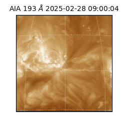 saia - 2025-02-28T09:00:04.843000