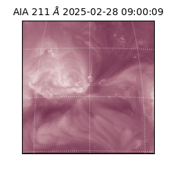 saia - 2025-02-28T09:00:09.630000