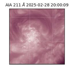 saia - 2025-02-28T20:00:09.630000