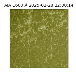 saia - 2025-02-28T22:00:14.125000