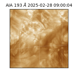 saia - 2025-02-28T09:00:04.843000