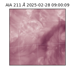 saia - 2025-02-28T09:00:09.630000