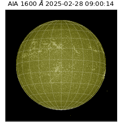 saia - 2025-02-28T09:00:14.125000
