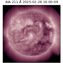 saia - 2025-02-28T16:00:09.630000