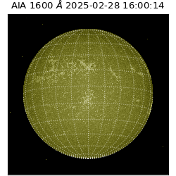 saia - 2025-02-28T16:00:14.141000