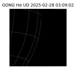 gong - 2025-02-28T03:09:02