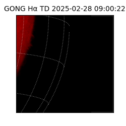 gong - 2025-02-28T09:00:22